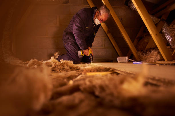 Insulation Inspection Services in Oak Grove, AL